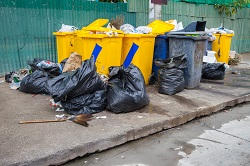  Waste Clearance in Paddington